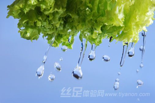 丝足体验网 丝足体验网