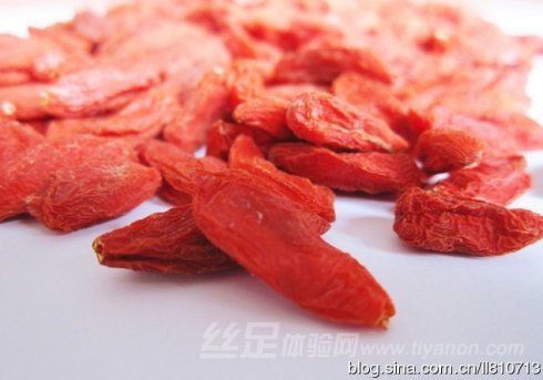兔兔网 兔兔网