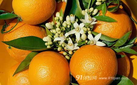 兔兔网 兔兔网