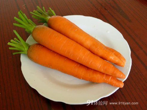 兔兔网 兔兔网