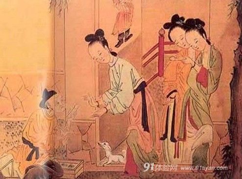 兔兔网