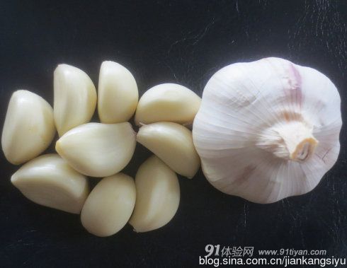 兔兔网 兔兔网