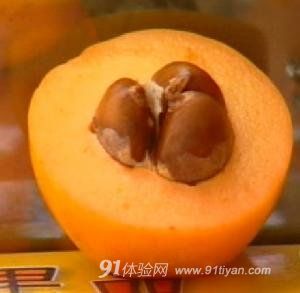 兔兔网 兔兔网
