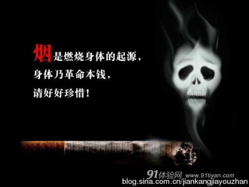 兔兔网 兔兔网