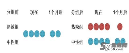 兔兔网 兔兔网