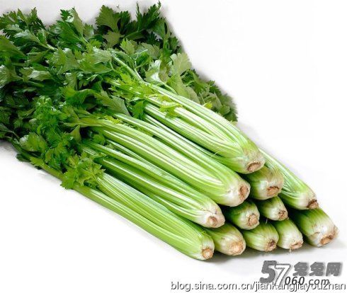 夏季解热消暑的最佳食材,兔兔网 夏季解热消暑的最佳食材,兔兔网