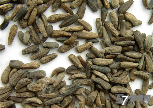 风月体验网上的91体验网 风月体验网上的91体验网