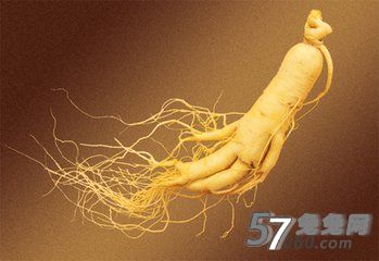 秋季进补的禁忌,秋季中药进补的禁忌 秋季进补的禁忌,秋季中药进补的禁忌