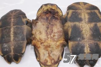男士高端会所肾虚怎么办,补肾十大法宝 男士高端会所肾虚怎么办,补肾十大法宝