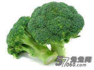 兔兔网生活中抗衰老的食物有哪些? 兔兔网生活中抗衰老的食物有哪些?