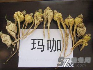吃玛卡可以调经吗,玛咖适合什么体质的人服用 吃玛卡可以调经吗,玛咖适合什么体质的人服用