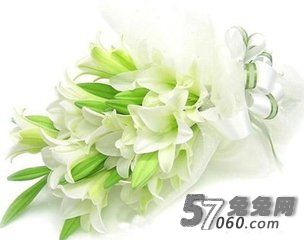 北京养生会所秋季多吃百合有哪些好处 北京养生会所秋季多吃百合有哪些好处