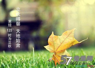 兔兔网秋季养生我们要学会“三拒绝” 兔兔网秋季养生我们要学会“三拒绝”