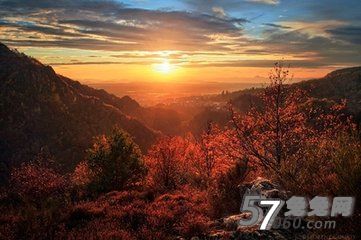【秋季养生】想要秋天不生病该怎么做 【秋季养生】想要秋天不生病该怎么做