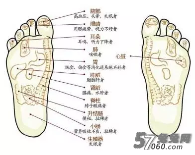 兔兔网 兔兔网