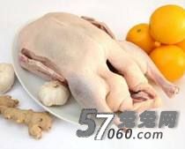 兔兔网,养生,食物,蛋白质