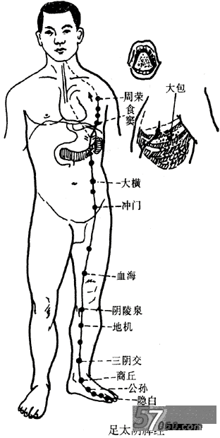 兔兔网,脾经,按摩,养生,穴位 兔兔网,脾经,按摩,养生,穴位