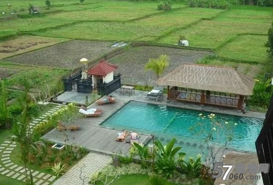 兔兔,SPA,影响,按摩 兔兔,SPA,影响,按摩