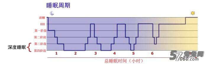 兔兔网,午睡,健康,周期 兔兔网,午睡,健康,周期
