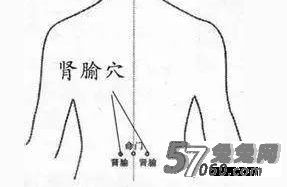 兔兔网,按摩,穴位,补肾 兔兔网,按摩,穴位,补肾