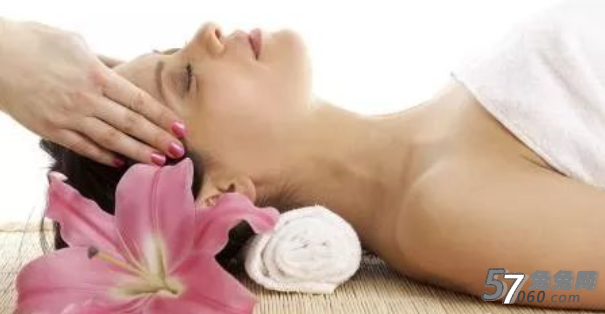 兔兔,头部,SPA,毛囊 兔兔,头部,SPA,毛囊