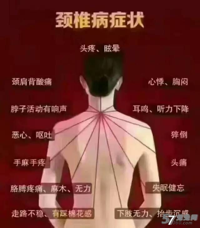 风月体验网,背部,按摩,防止 风月体验网,背部,按摩,防止