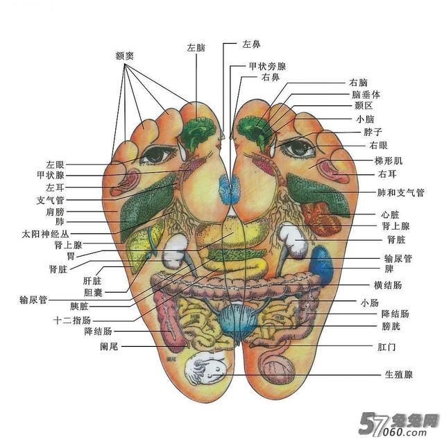 兔兔网,养生,泡脚,北京养生,高端养生 兔兔网,养生,泡脚,北京养生,高端养生