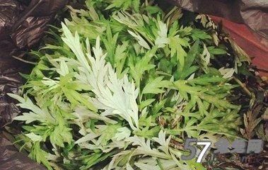 兔兔网,养生,泡脚,北京养生,高端养生 兔兔网,养生,泡脚,北京养生,高端养生