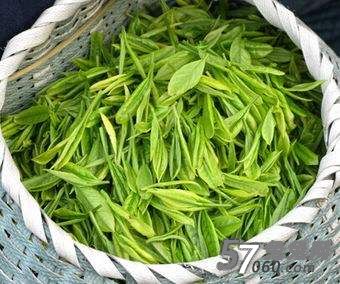 北京会所,茶叶,健康养生,北京养生 北京会所,茶叶,健康养生,北京养生