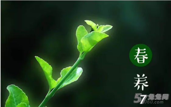 兔兔网 兔兔网