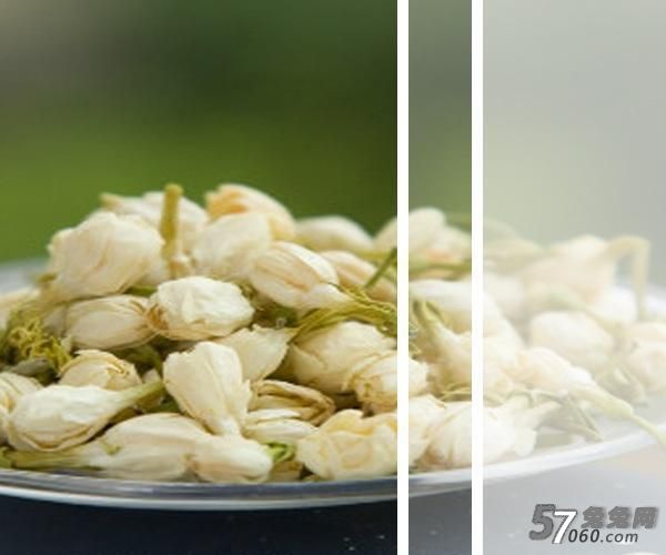 茉莉花茶 茉莉花茶