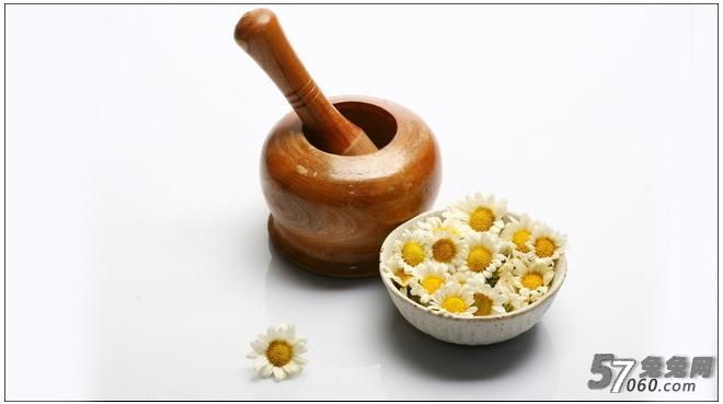 洋甘菊 洋甘菊