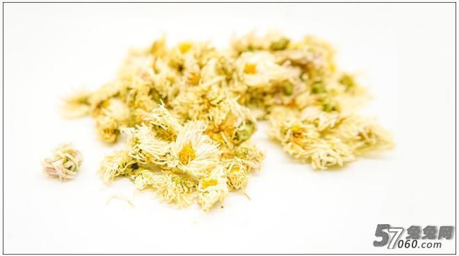 杭白菊 杭白菊