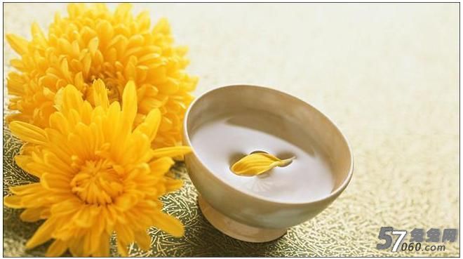 怀菊 怀菊