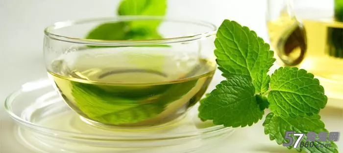 薄荷茶 薄荷茶