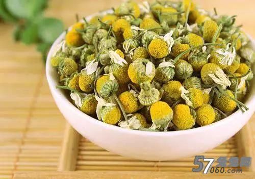 洋甘菊茶 洋甘菊茶