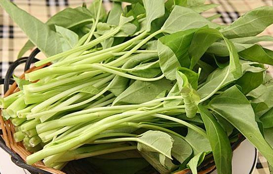 空心菜的养分价值北京会所教你空心菜的做法