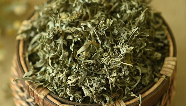 艾草精油,不为人知的7大方法