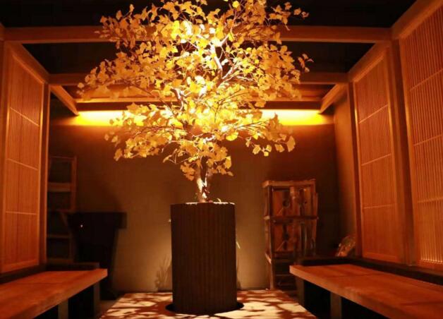 醉红楼·养生spa