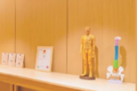 璞甄专业推拿机构默认相册