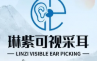 琳紫可视采耳连锁