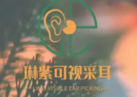 琳紫可视采耳连锁