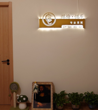 缘梅悦耳专业采耳(朝阳门店)