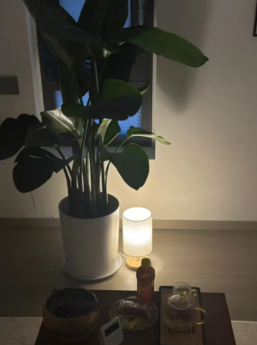 萃润坊SPA